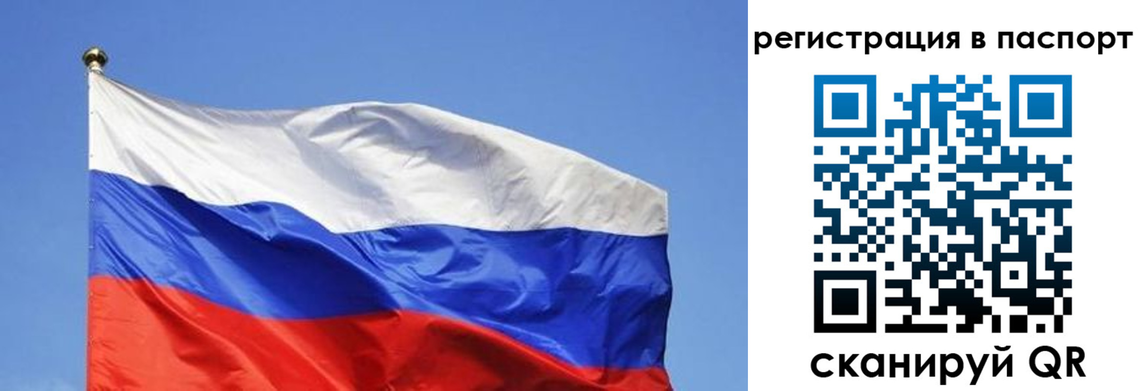 прописка в квартире в Карпинске